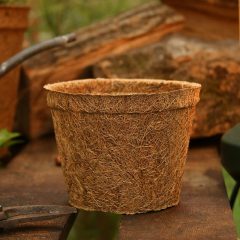 Coco Pots