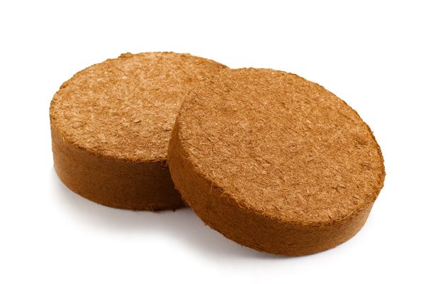 Coco Discs