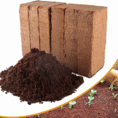 Coco Peat bricks